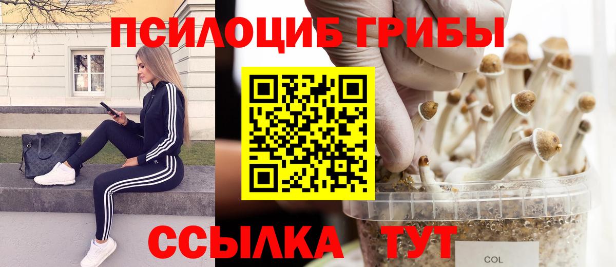 Рассказово  Псилоцибиновые грибы Psilocybine cubensis  Вход с VPN  Псилоцибиновые грибы GOLDEN TEACHER 